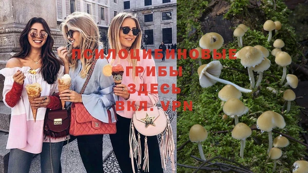 стаф Лагань