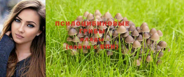 стаф Лагань